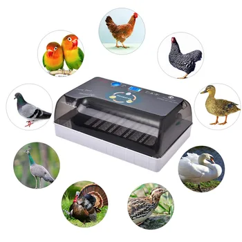 

Newest Farm Hatchery Incubator Brooder Machine 4-12 Egg Hatchers Cheap Price Chicken Automatic Eggs Incubator Bird Quail Brooder