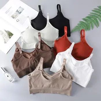 

Japanese-style Bear Tube Top Shock-resistant Deconstructable Chest Pad Push up Style WOMEN'S Underwear Beauty