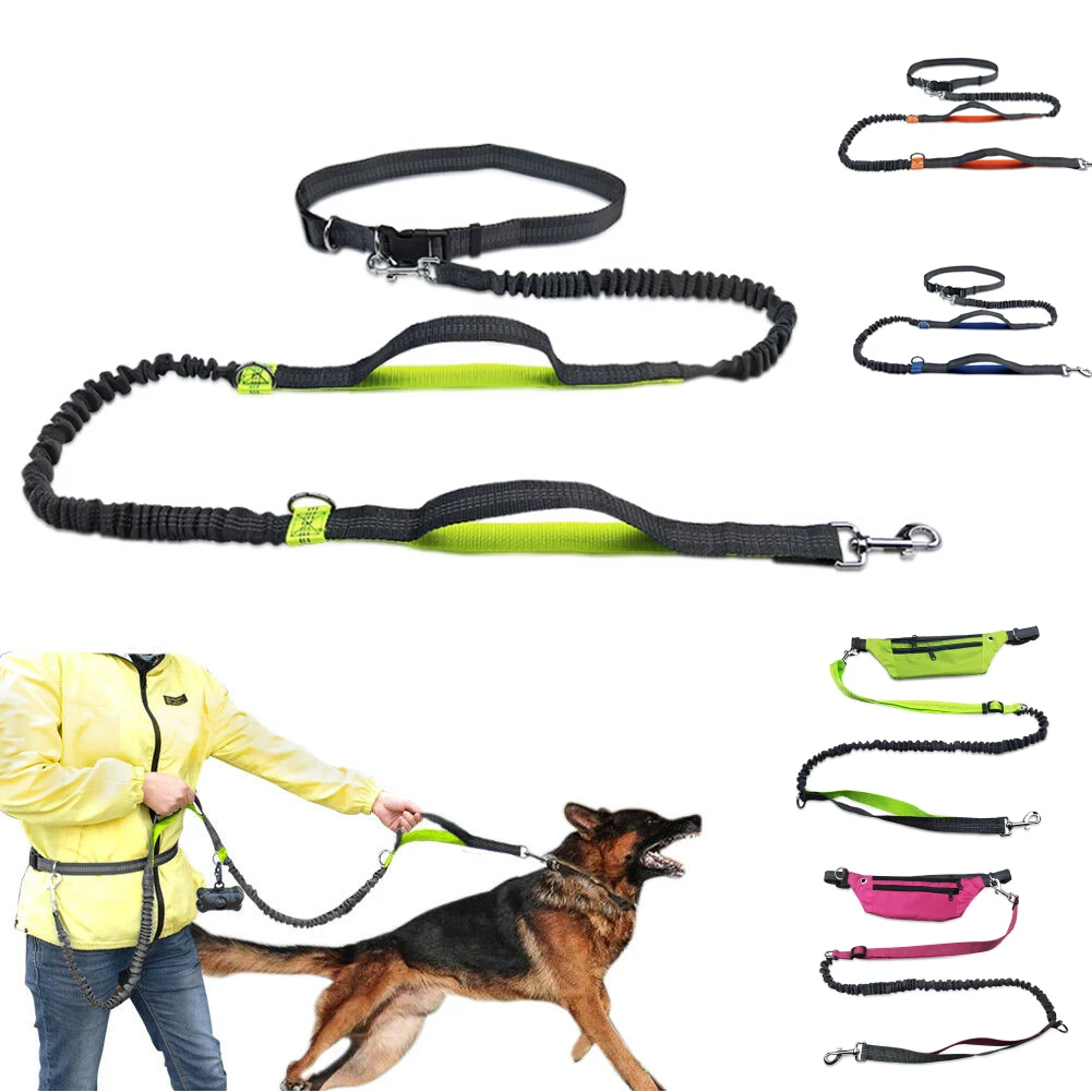 Reflective Traction Rope Pet Dog Running Belt Elastic Hands-Free Jogging Metal D Ring Correa Perro | Дом и сад