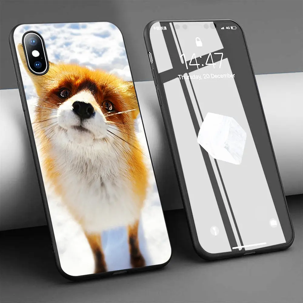 Coque Funny Fox Face Close Up Soft Silicone Phone Case for iPhone 11 Pro Max X 5S 6 6S XR XS 7 8 Plus Cover | Мобильные телефоны и