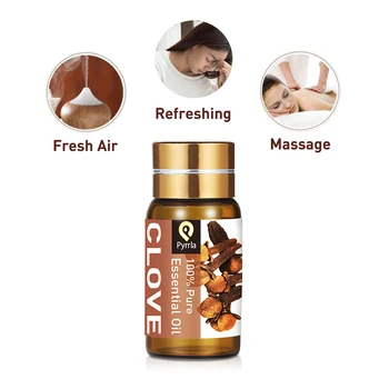 

Pyrrla 5ml Clove Pure Essential Oils Refreshing Fresh Air For Aromatherapy Humidifier Bergamot Basil Vetiver Massage Aroma Oil