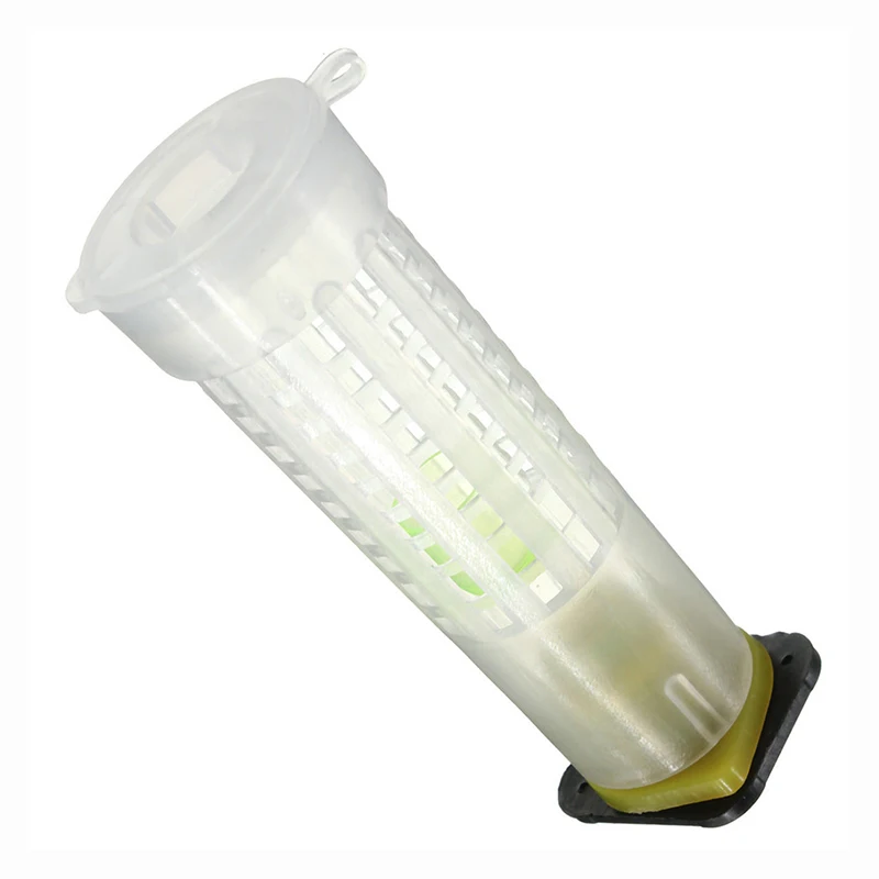 5 Пчеловодство Rearing Cup kit queen Bee Hair роликовые клетки пчеловодство оборудование