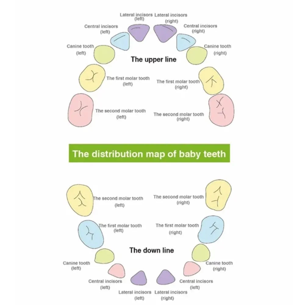 Wooden Baby Hair Deciduous Teeth Storage Box Umbilical Cord Collection Box Creative Wooden Gift Solid Wood Storage Box