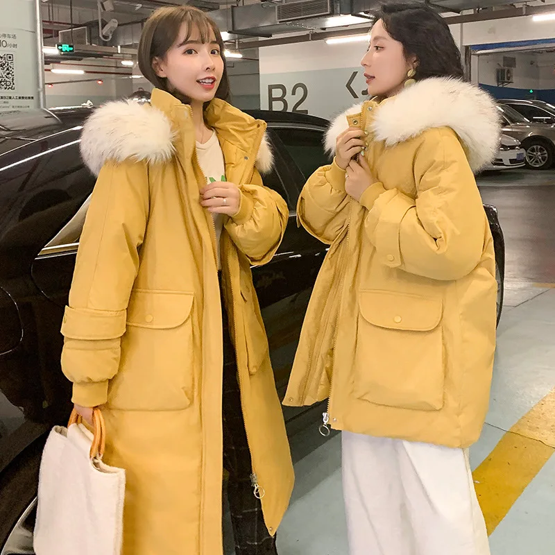 

New Style Korean-style down Feather Cotton-padded Clothes Women's Best Friend-Hooded Large Fur Collar Long over-the-Knee Service