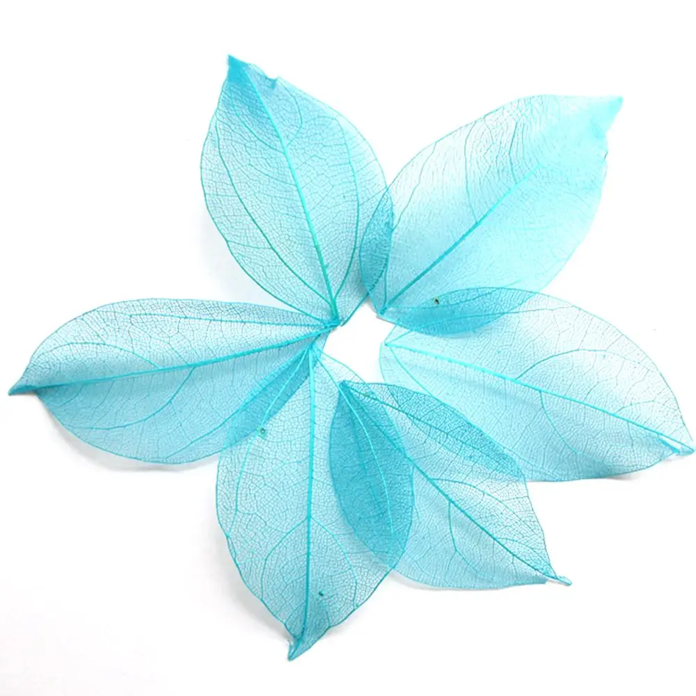 HTB1PczLIpXXXXcfXpXXq6xXFXXXt