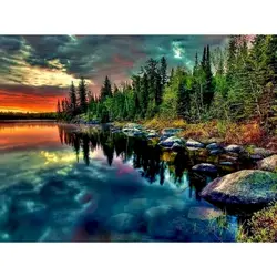 Painting by Numbers DIY Kit with Frame - Acrylic Paint Oil Canvas - 40x50cm Diy Frame (Clear)