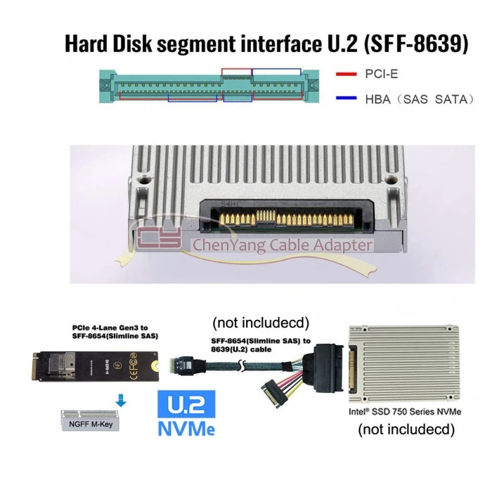 Cablecc SFF-8654 a U2 Kit NGFF M-Key a Slimline SAS NVME PCIe SSD SATA adaptador para placa base 