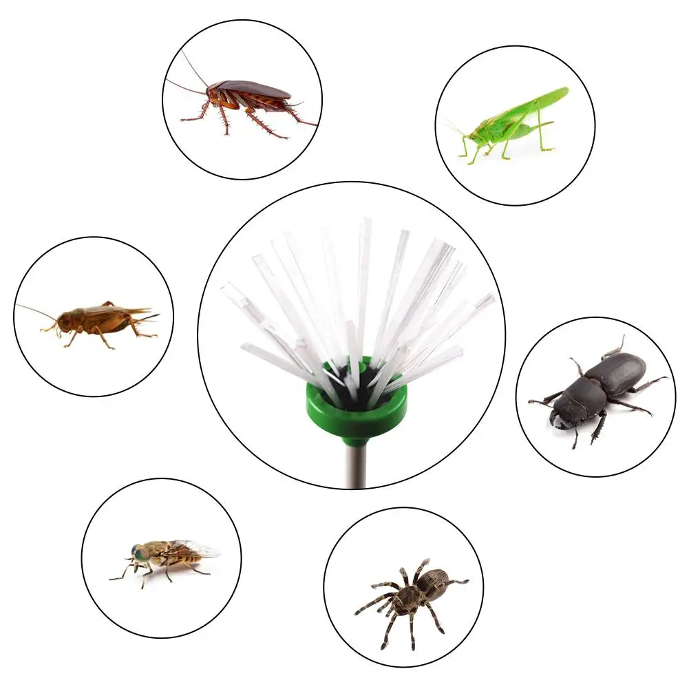 AUGKUN Pet клипсы «насекомые» Семейные ручные ловушки насекомых насекомое таракан ловушка паук ловушка маленькие животные улавливающие инструменты