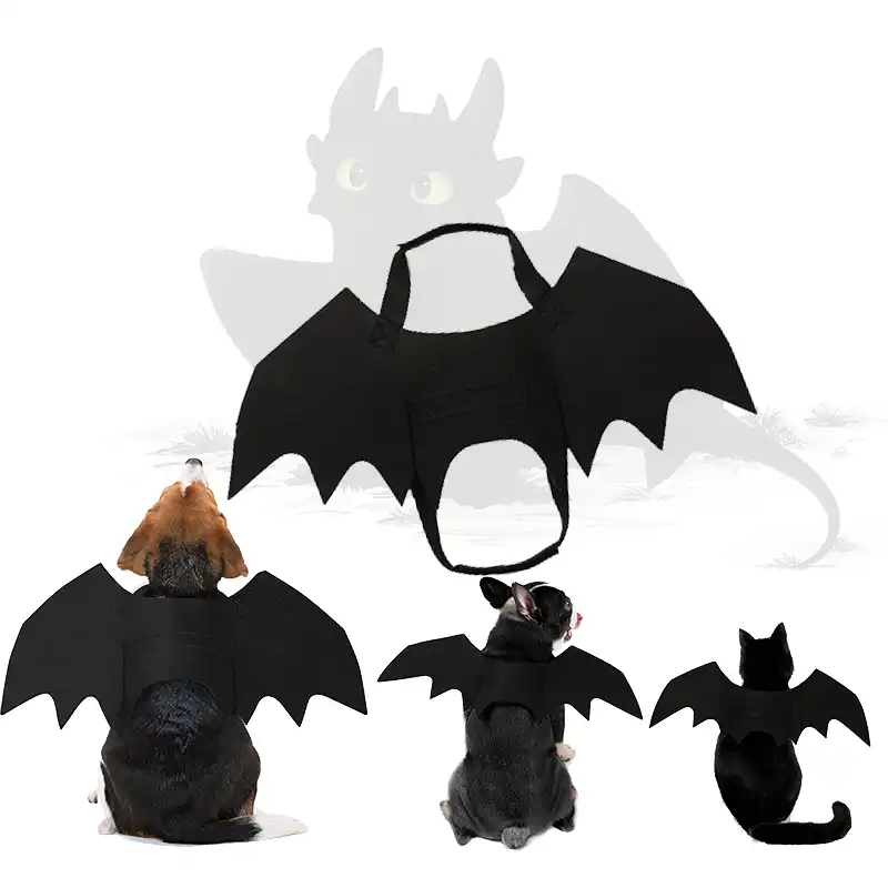 New Anime Movie How to Train Your Dragon 3 Cute Toothless Cosplay