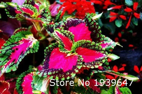C57611756AFF9D1A9F7A5A32306D4238