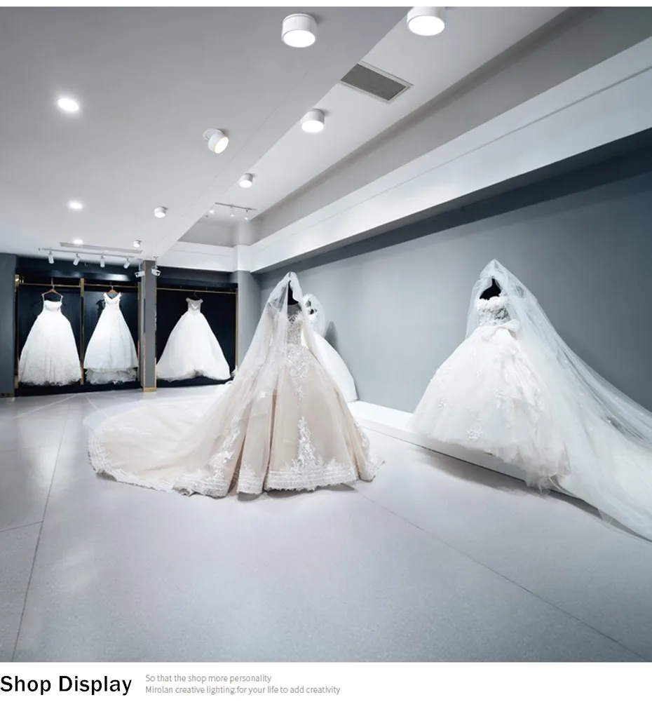 led recessed downlight  (13)