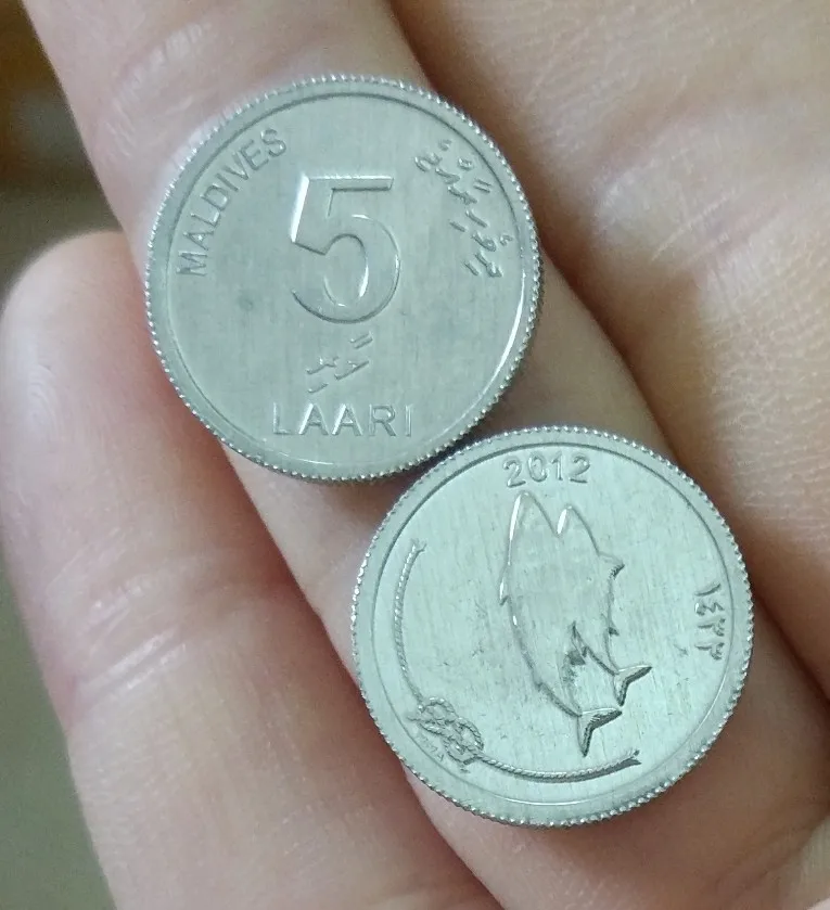 25 лари. 500 лари грузия монета. 17 лари. Мальдивские лаари в рубли. Мальдивские лаари.