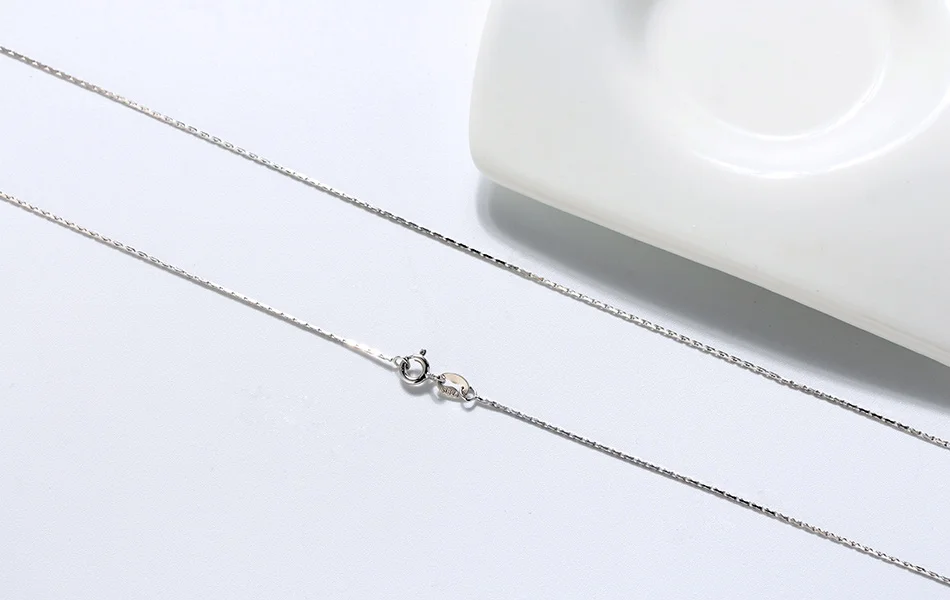 SC21-P-SCENE-IMG_2504-R