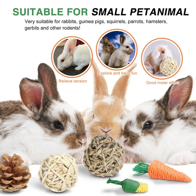Tavşan çiğnemek oyuncaklar doğal malzeme el yapımı diş taşlama oyuncaklar  tavşan küçük hayvan çiğnemek davranır tavşanlar gine evcil hayvan  malzemeleri - AliExpress