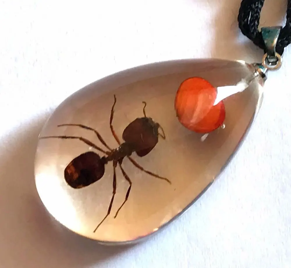 

16 pcs fashion real red bean ant pendant lucid drop style jewelry