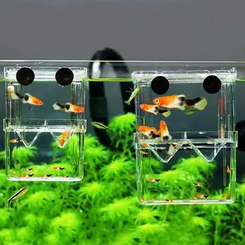 

Large Acrylic Fish Breeding Box Aquarium Breeder Box Double Guppies Hatching Incubator Isolation Aquarium Pet Supplies S/L