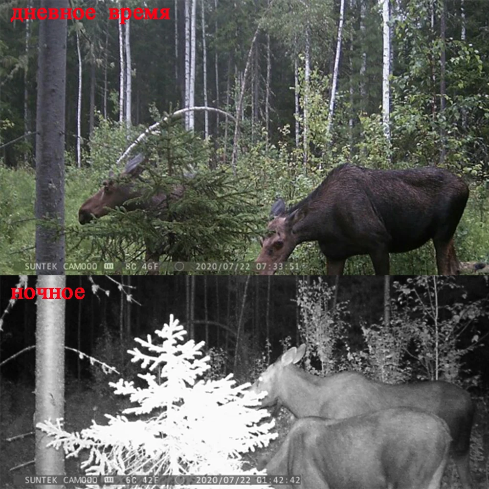 Hunting Trail Camera Trail Camera HC801A Hunting Wild Camera Infrared Invisible Photo Trap Waterproof 940nm 24Mp 0.2s Trigger Outdoor Wildlife