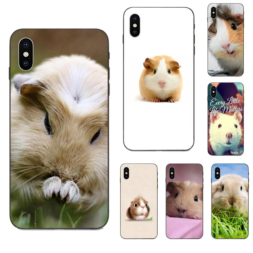 Cute Animal Guinea Pigus For Huawei nova 2 2S 3i 4 4e 5i Y3 Y5 II Y6 Y7 Y9 Lite Plus Prime Pro 2017 2018 2019 Coque Shell | Мобильные