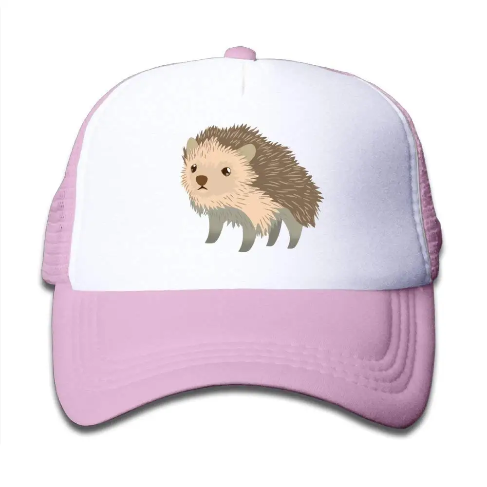 TSDFCMesh Бейсболка Snapback Hat милый маленький ежик мальчики-девочки, розовый, один размер
