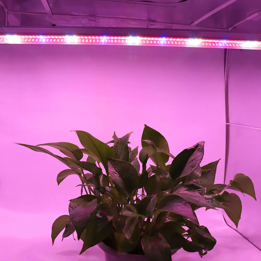 (3 шт./лот) 120 см/90 см/60 см T8 LED Grow Light Tube integrated Bar для комнатных растений парниковая