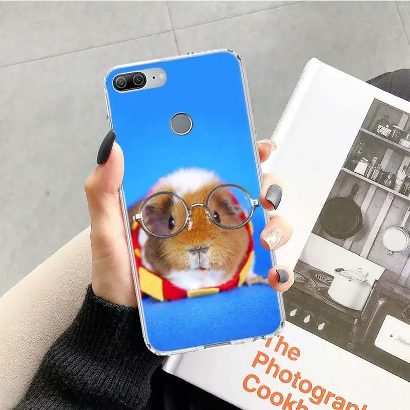 TR082-7 Гвинея чёрный футляр с рисунком поросёнка который животное синий чехол для huawei Honor 9 10 20 Lite рro 9X 8X 8A 8C фотоаппаратов моментальной печати 7S 7A 7C Y5 Y6 Y7 Y9 мягкий чехол для мобильного телефона c Co - Цвет: TR082-7