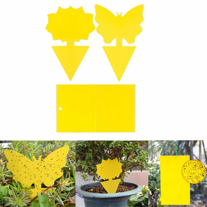 Bifacciale Appiccicoso Giallo Farfalla Bordo Pianta Fiori Verdure Zanzare Mosche Trappola Bordo Insetto Adesivo