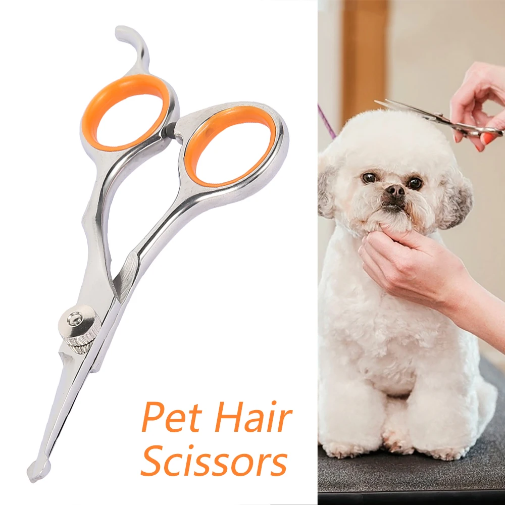 Tijera para pelo de mascota profesional de acero inoxidable, puntas redondas de seguridad duraderas, herramientas para cortar el pelo de perros y gatos, SUMINISTROS DE ASEO para mascotas, 1 Uds.