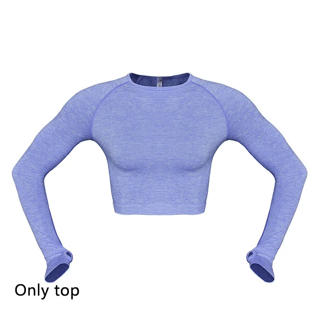 Hemp blue top 2 шт. женский бесшовный комплект для йоги, фитнеса, спортзала, спортивные костюмы для йоги, рубашки с длинным рукавом, высокая талия, леггинсы для бега, одежда для тренировок - Цвет: Hemp blue top