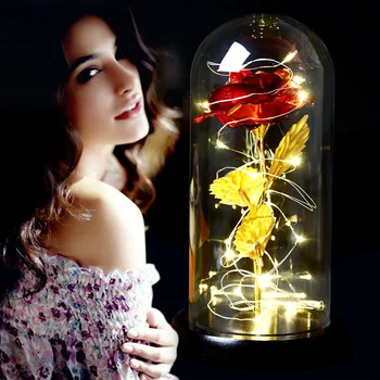 

Creative Simulation Rose Flower LED String Light with Glass Cover Valentine's Day Birthday Gift
