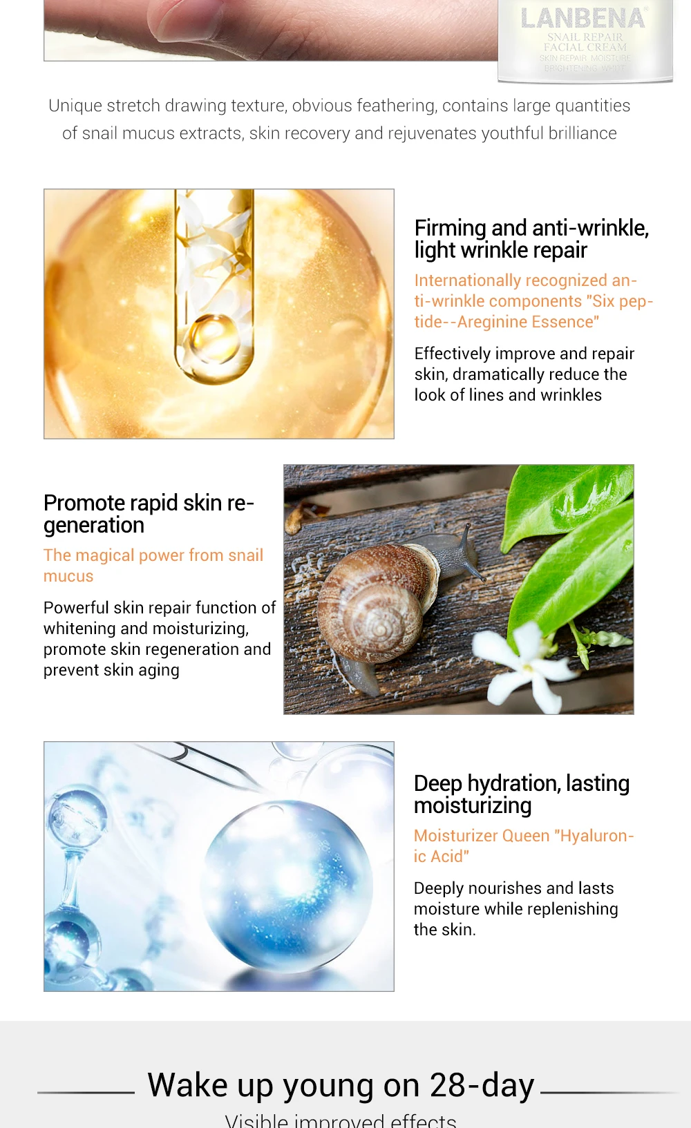 蓝蓓娜抗衰老面霜+蜗牛面霜组合装_05