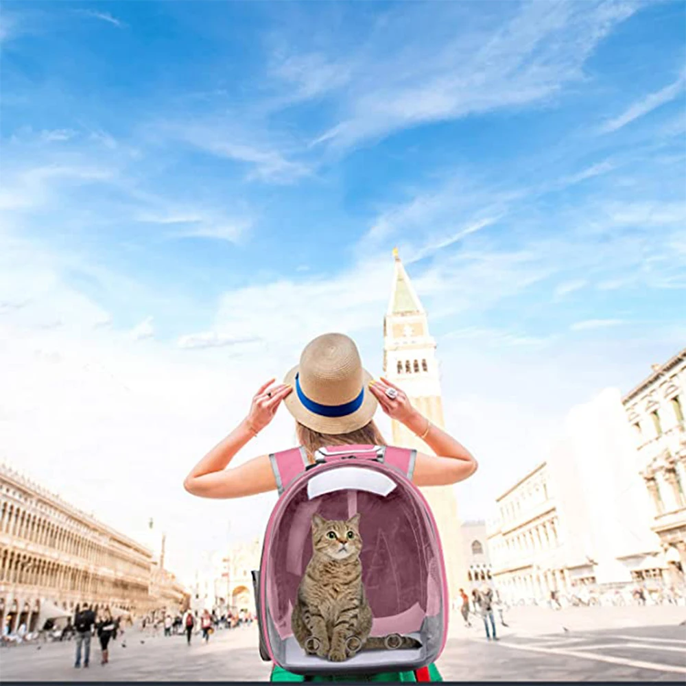 

Cat Carrier Bag Breathable Cat Backpack Small Pet Carrier Bag Outdoor Travel Backpack Carrier for Cats Dogs Transparent Space