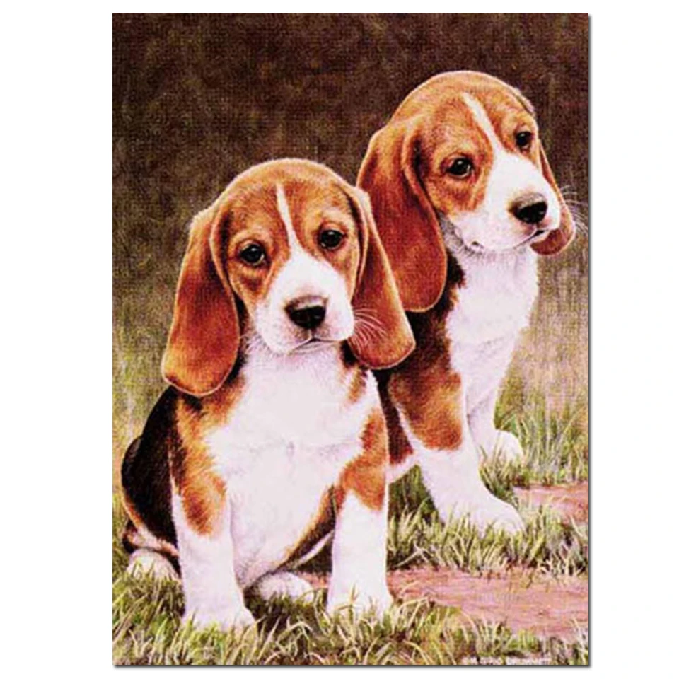 Beagles собака Алмазная картина 5 шт. квадратный круглый 5d diy вышивка наборы мозаика 3d