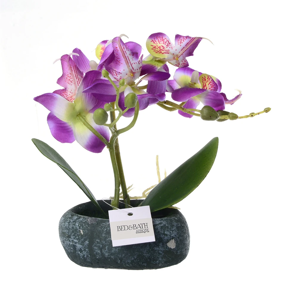 ZZLJ16218-ZZLJ16221-C4