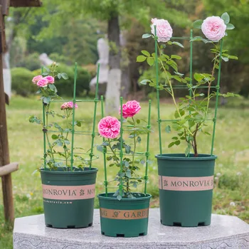 

Climbing Vines Rack Plant Potted Support Frame Plastic Coated Iron Flower Vegetables Decorative Trellis Bracket JS23