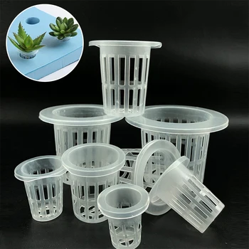 

PVC Plastic Mesh Pot Garden Hydroponic Nursery Net Cup Aeroponic Vegetable Plant Soilless Cultivation Basket 10 Pcs