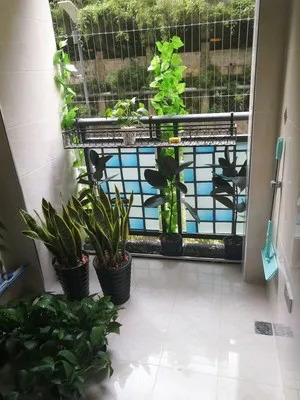 O1CN01B6ZfVh2EmxBA9pfqU_!!0-rate.jpg_400x400