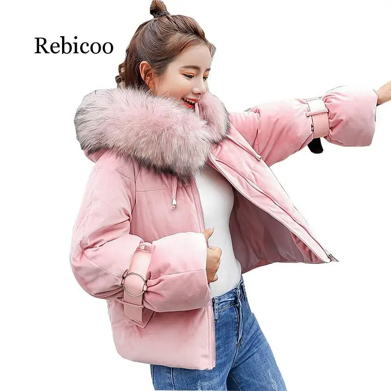 

2019 winter new coat Korean version of the gold velvet thickening hooded cotton clothing women short fashion bread clothes cotto