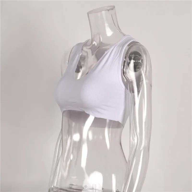 17052573530_1172645759