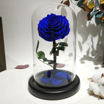 

Glass Cover Fresh Preserved Rose Flower Barbed Rose Flores Party Marriage Home Valentine'S Decoration Gift For Day Wedding