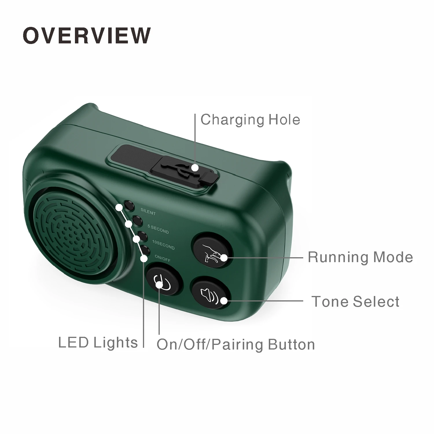 393190-ed2039.jpg