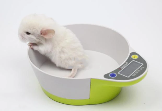 TB2Gp58lVXXXXb3XpXXXXXXXXXX_!!1819776472