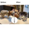 Pet Products