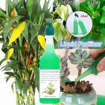 

Plant Nutrient Solution Hydroponics Organic Green Bonsai Rapid Growth Fertilizer Succulents Plant Nutrient NEW