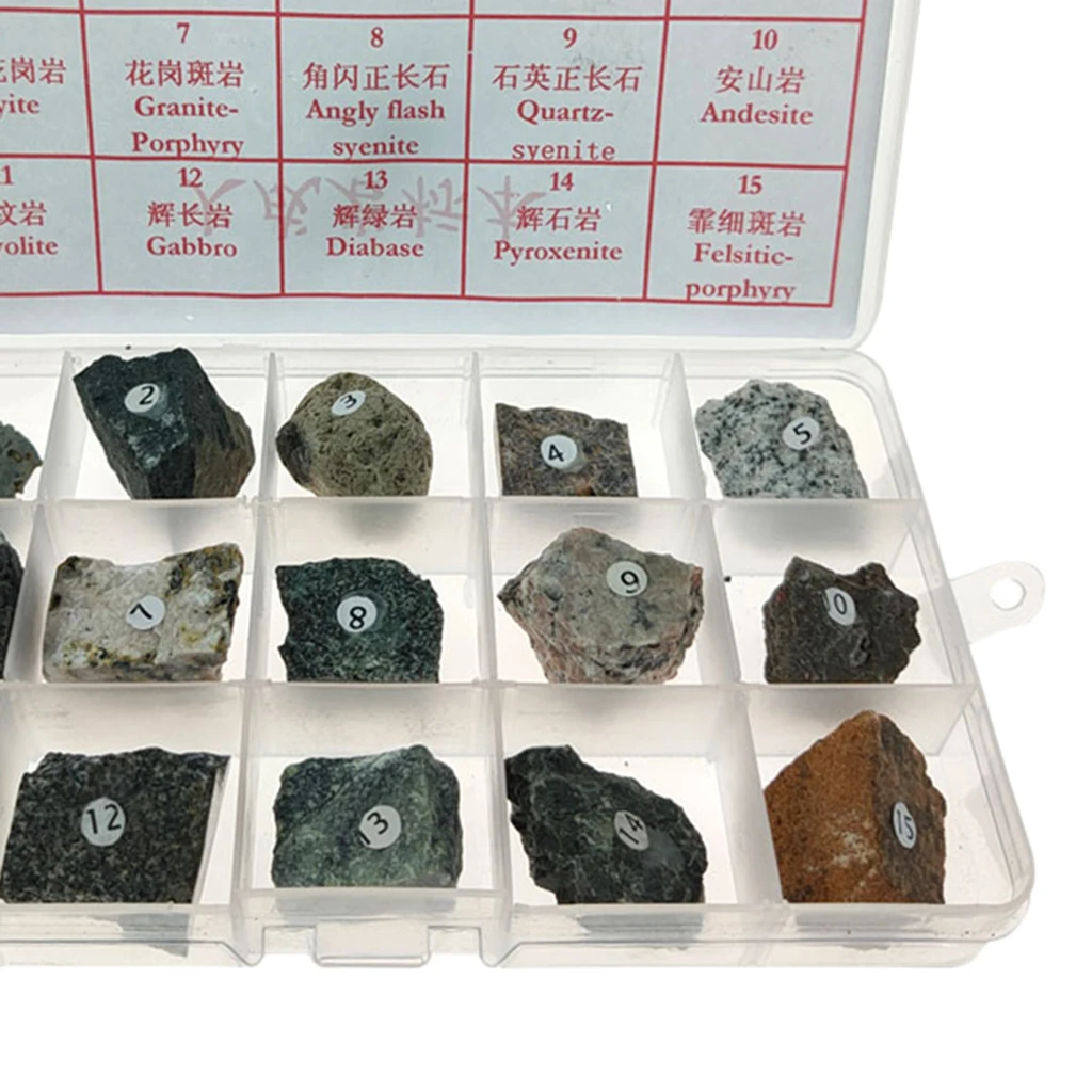 

Igneous Rock Specimen Collection Real Stone Teaching Aid Supplies w/ Box