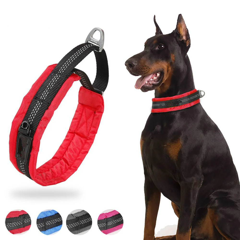 padded e collar for dogs