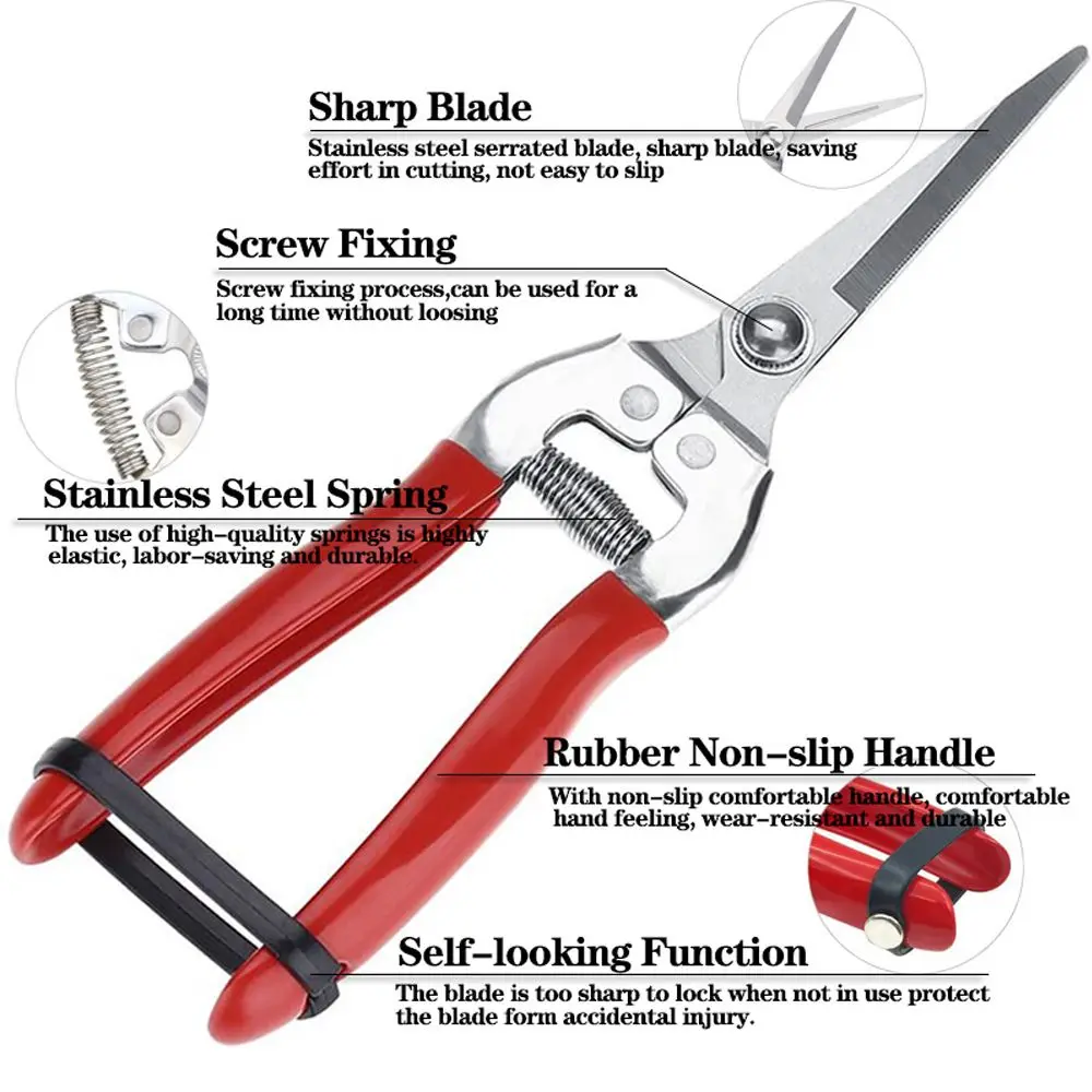 Garden Scissors Pruning Shears Garden Tools Garden Pruner Anti-slip Pruner Micro-Tip Pruning Snips Leaf Trimmer Straight Scissor Plant Tool