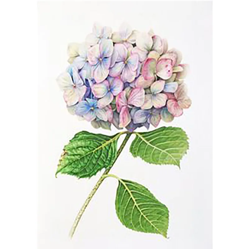 

DIY full circle diamond embroidery flower 5D diamond painting modern flower mosaic cross stitch home decoration