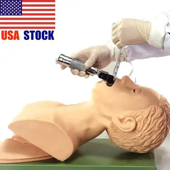 

220V Intubation Manikin Study Teaching Model PVC Airway Management Trainer Medical School Student Educational Learning Supply