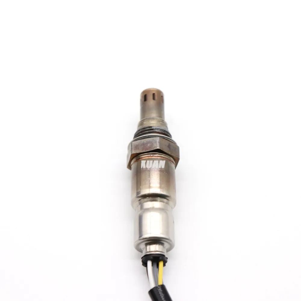 03F906262B (7)