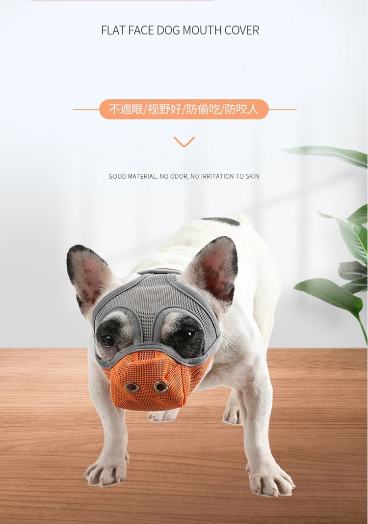 1 - 21463841287_20982621